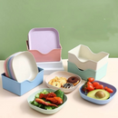 Conjunto 10 Pratos + Escorredor de Plástico Reutilizáveis (Cores Sortidas)