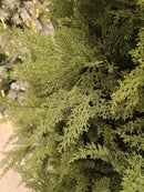 ÁRVORE PINHEIRO SUPER REALISTA NEW JERSEY 1240 GALHOS 2,10CM - PRÉ VENDA 2025